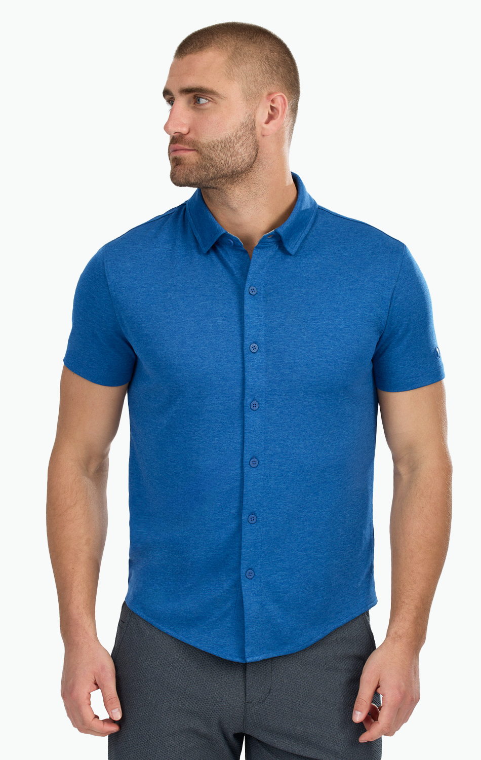 Men's Short Sleeve Button Down Polo Shirt (Performance Stretch, Collar) L / BLUE